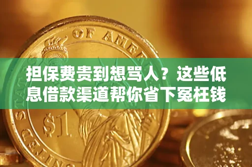 北京担保费贵到想骂人？这些低息借款渠道帮你省下冤枉钱