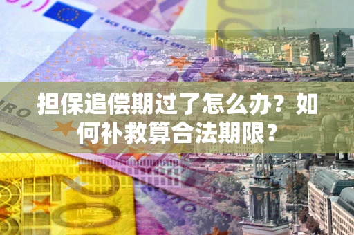 北京担保追偿期过了怎么办？如何补救算合法期限？