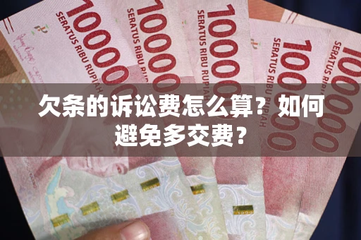 北京欠条的诉讼费怎么算？如何避免多交费？