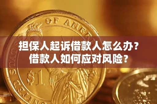 北京担保人起诉借款人怎么办？借款人如何应对风险？