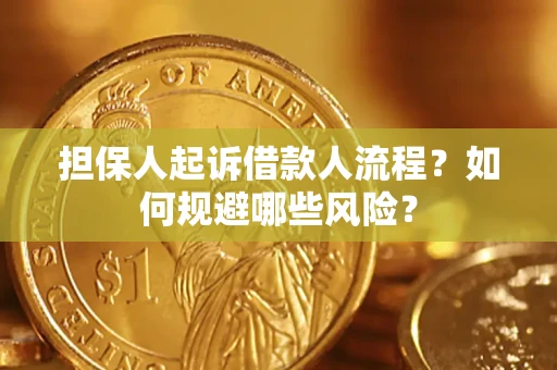 北京担保人起诉借款人流程？如何规避哪些风险？