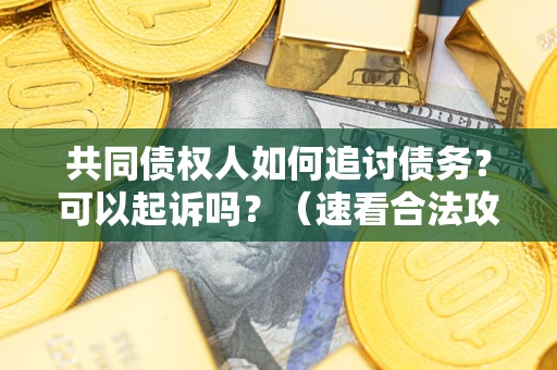 北京共同债权人如何追讨债务？可以起诉吗？（速看合法攻略）