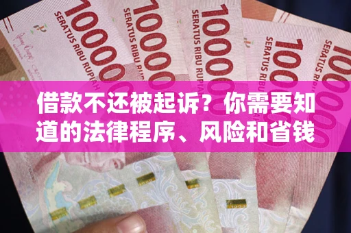 北京借款不还被起诉？你需要知道的法律程序、风险和省钱技巧
